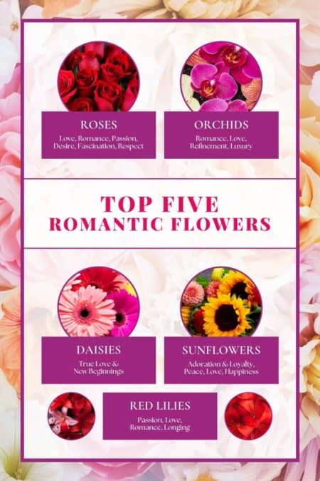 top 5 romantic flowers