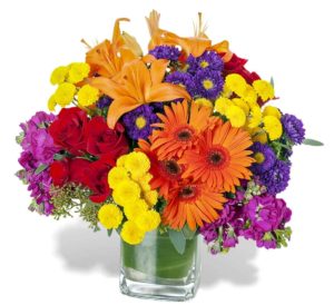 assorted colorful mums in vase