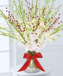 white orchids with red berries in vase