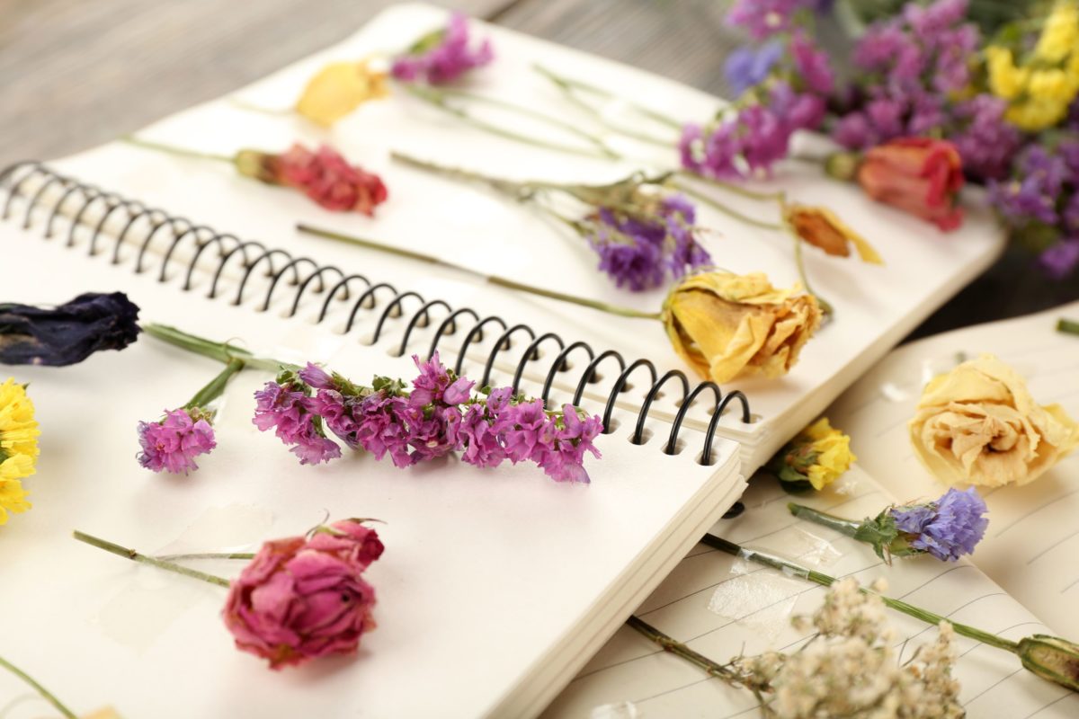 Pressing vs. Drying Flowers What's the Difference? Flower Expertise