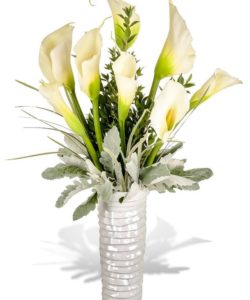 A simple, yet elegant arrangement of 8 White Calla Lilies is striking and sophisticated