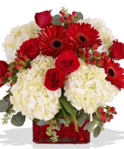 White Hydrangas, red roses and peonies