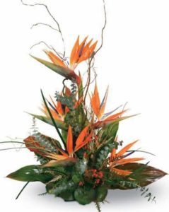 Tropical, exotic and downright stunning, this stylized design features birds of paradise surrounded by lush tropical foliage in a designer tray container
