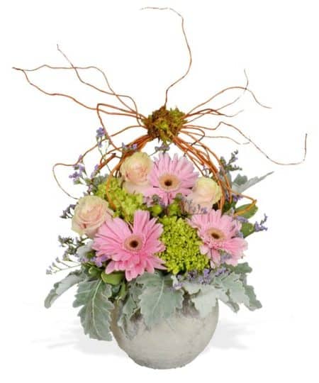 Bring spring into your home with "Spring Meadow", a stunning arrangement of gerbera daisies, pink roses, and curly willow tips in a Humble Vase from Accent Decor!