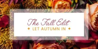 Elegant Blog Header